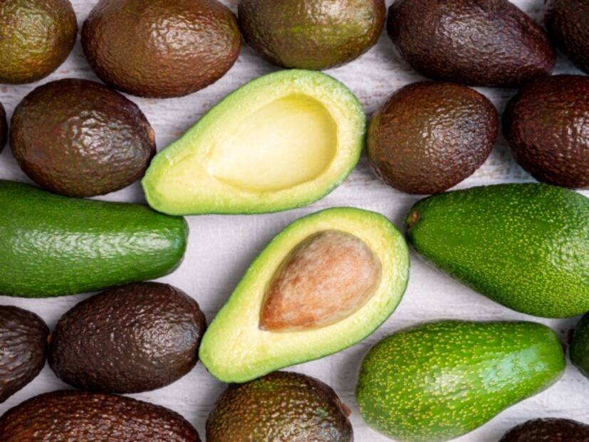 Aguacate, el fruto más querido y cotizado