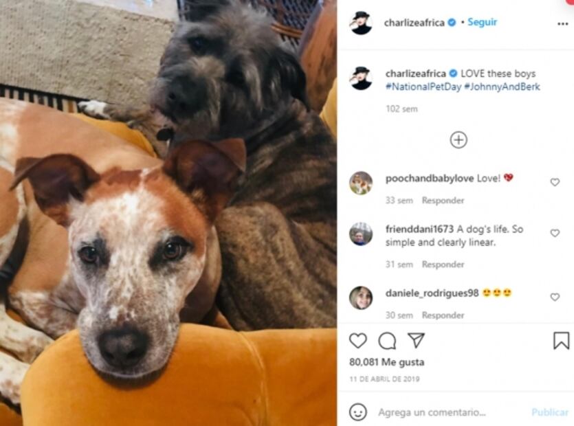 Amor y compromiso por los animales, estos famosos hacen todo por ellos