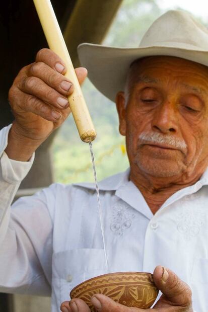 ​¿Qué hacer en Oaxaca?