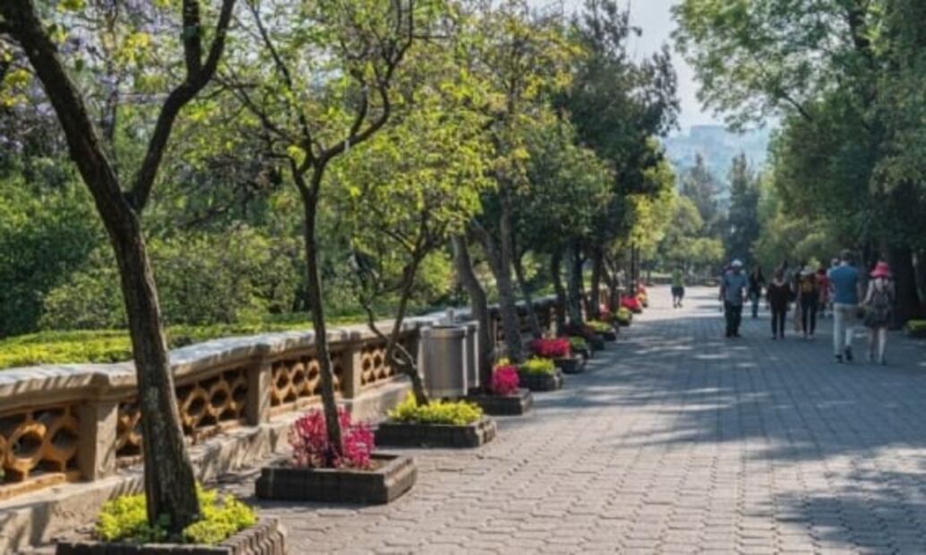 Cuánto cuesta subirse al carrusel veneciano de Chapultepec