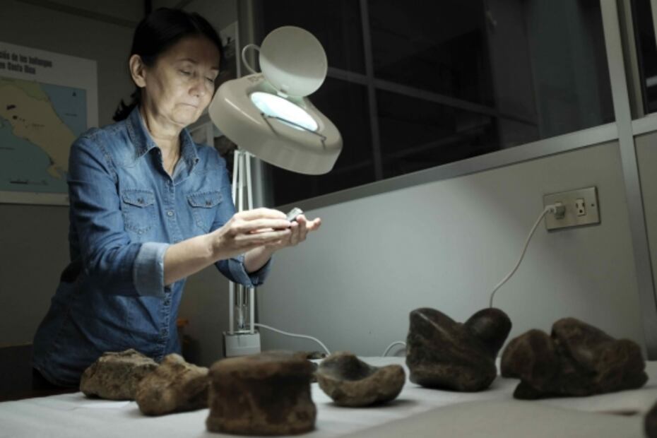 Fósil de una bestia: Científicos, tras secretos del perezoso gigante prehistórico
