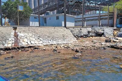 Denuncian muerte de especies por derrame