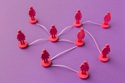 Red Nacional de Refugios rechaza PEF 2025; no prioriza los derechos humanos de las mujeres, denuncia