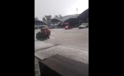 “¡Salte, salte, salte!”; captan en video colapso del techo de la Central de Abasto