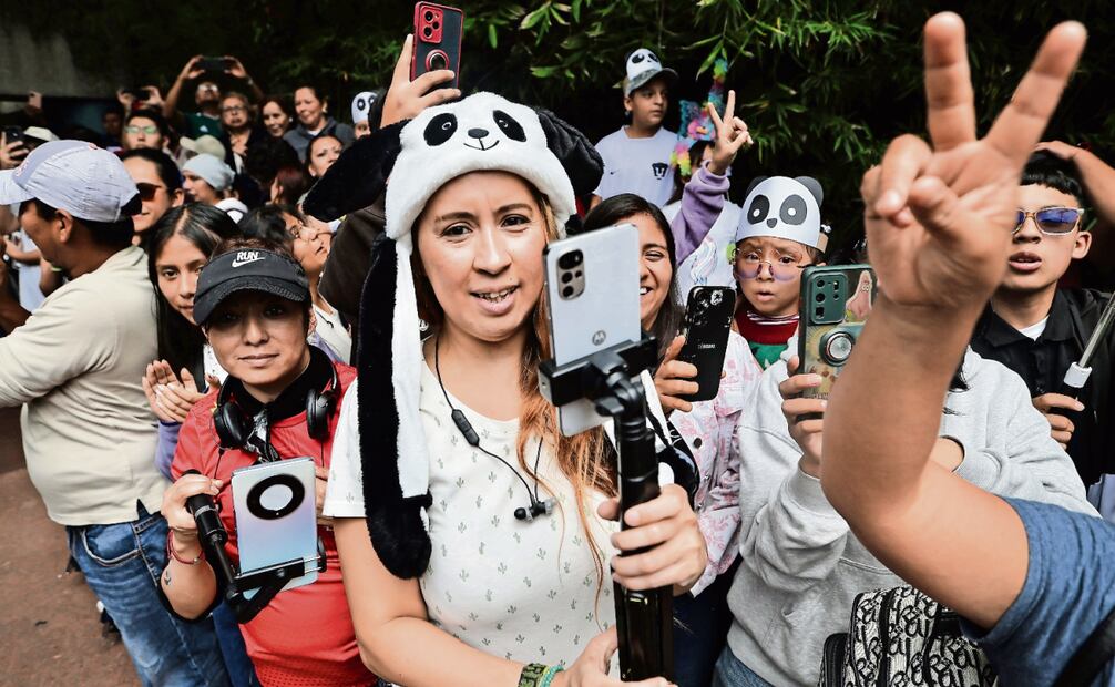 Más de 40 mil personas acudieron al Zoológico de Chapultepec para ver y fotografiar a la panda Xin Xin en este día especial. Foto: Berenice Fregoso / EL UNIVERSAL