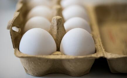 ​Lo que se sabe de los huevos contaminados en Europa