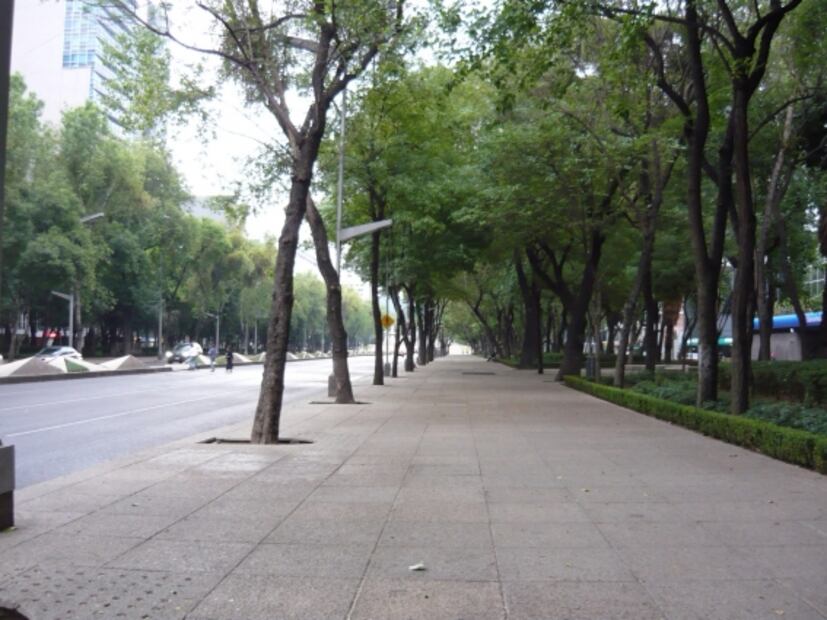 Cuando la influenza llegó a México