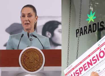 Sheinbaum: Cofepris informará sanciones a empresas por comercialización ilegal de productos con CBD; Fox, relacionado con algunas marcas