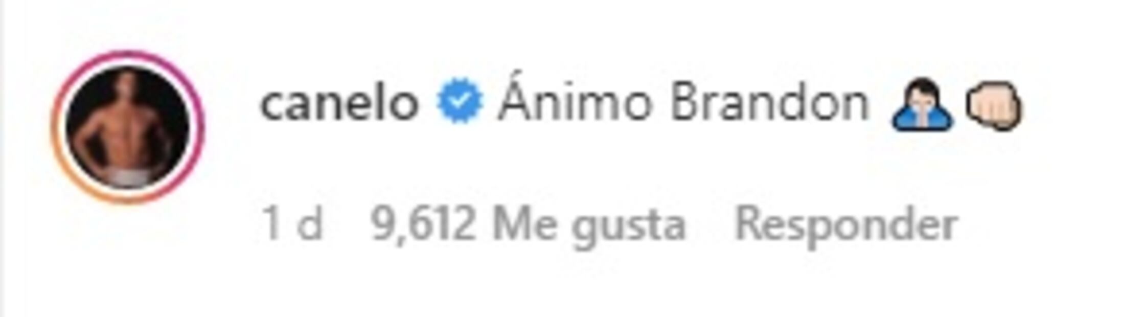 Canelo Álvarez manda mensaje de apoyo a Brandon Moreno tras perder su título de UFC