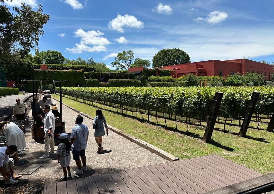 Foto: Omar Moreno. El Universal