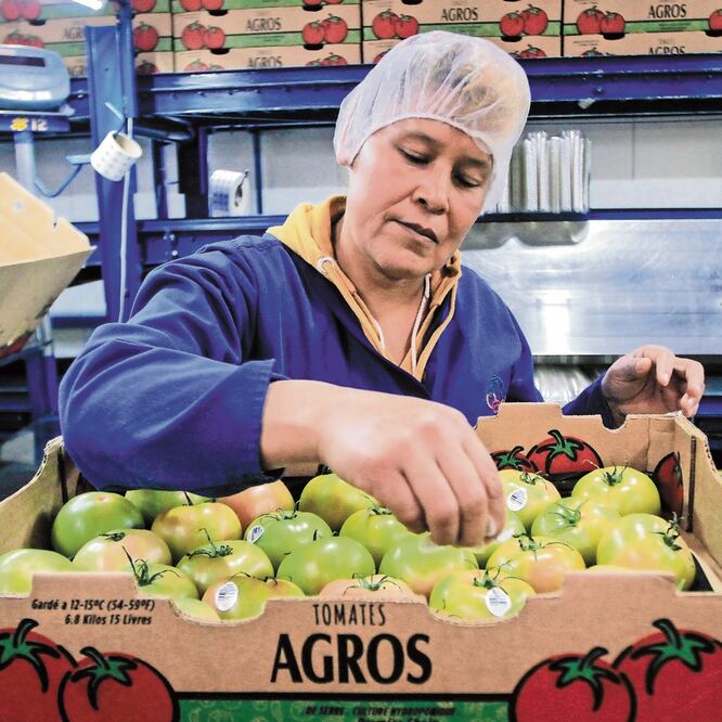 Envíos. México exporta hacia el mercado de Estados Unidos un millón 700 mil toneladas anuales con valor de 2 mil millones de dólares. ARCHIVO EL UNIVERSAL