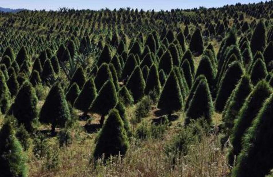  5 pueblos para ir por tus adornos de Navidad