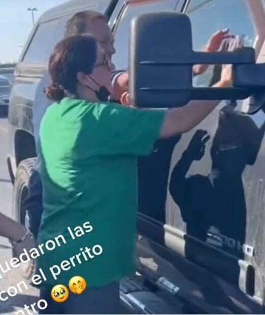 Perro queda encerrado en un carro y gracias a su habilidad se salva