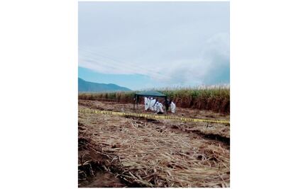 Hallan nueva fosa en Xalisco, Nayarit; desconocen si hay cuerpos u osamentas