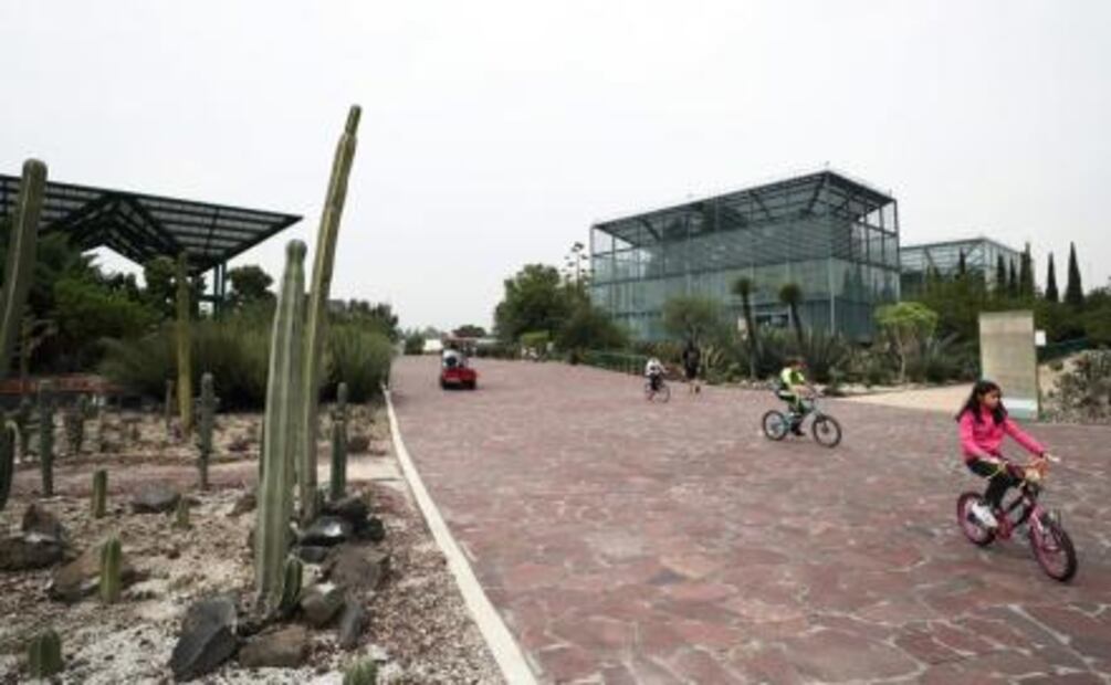 Parque Bicentenario. Foto: Especial