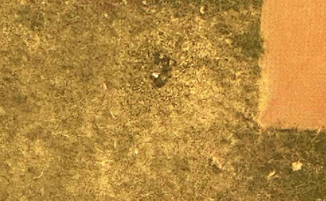 Este miércoles fue reportada una presunta granada en la Torre de Pemex, con lo que las autoridades militares desprendieron un operativo para retirarla. Foto: Especial