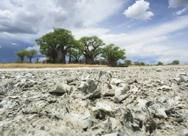 ¿De dónde provienen los humanos modernos? Científicos aseguran haber identificado el lugar