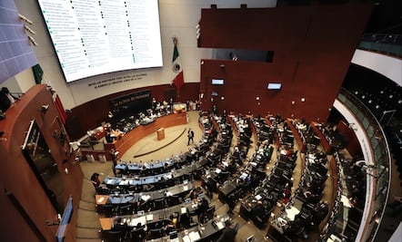 PT en Senado exhorta a autoridades a estar alerta ante casos de hepatitis aguda en niños