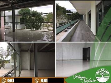 Solicitan desafuero de "Alito" Moreno; le imputan desvío de 83 mdp