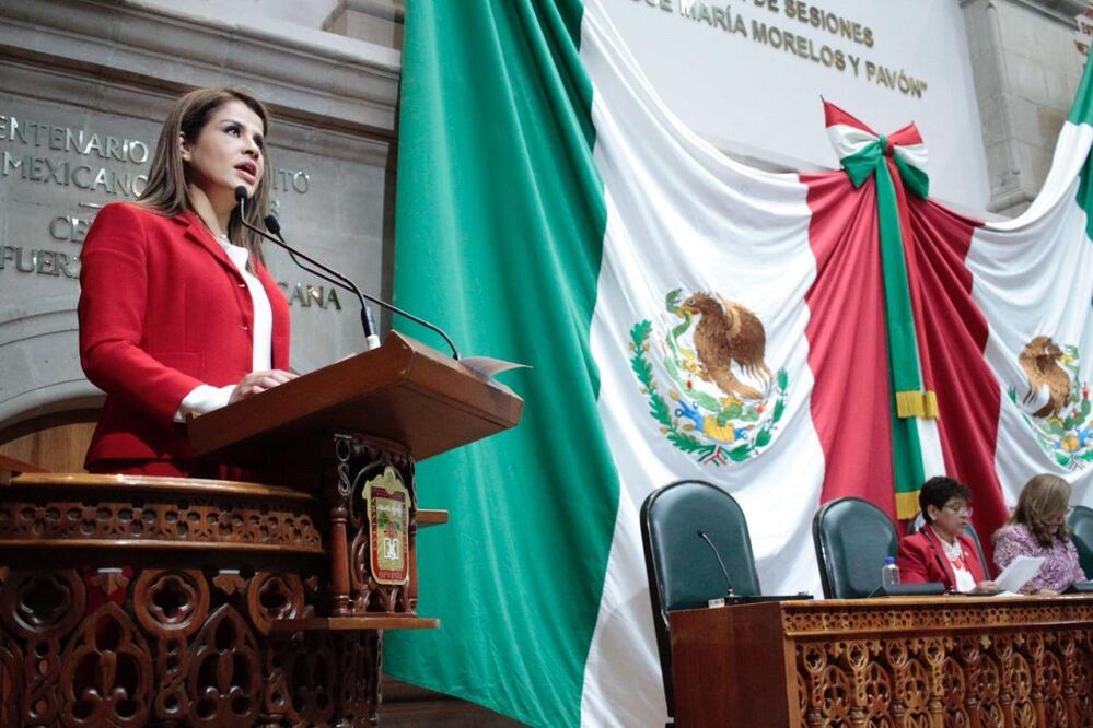La diputada del PRI en el Congreso del Estado de México, Karla Aguilar Talavera, propuso elevar hasta 30 años de prisión, a quien promueva o provoque de manera intencional un incendio forestal. (FOTO: especial)