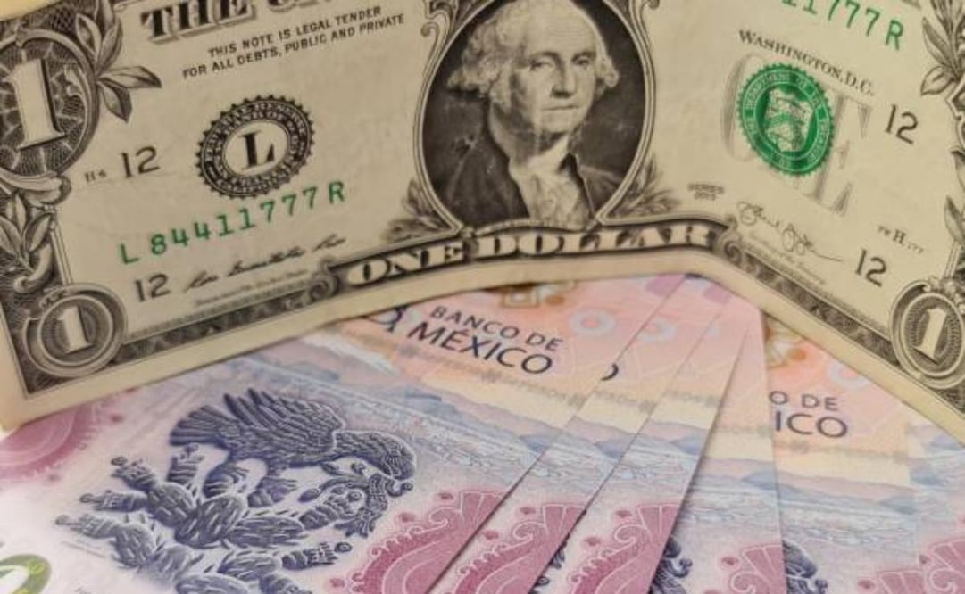 Por su parte, el dólar al menudeo terminó este lunes en 20.76 pesos a la venta en las ventanillas de las sucursales de Banamex. Foto: IStock