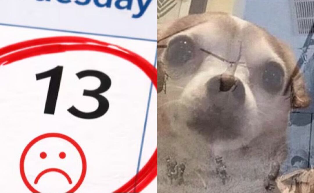 Los mejores memes que dejó el primer martes 13. Foto: Captura de pantalla