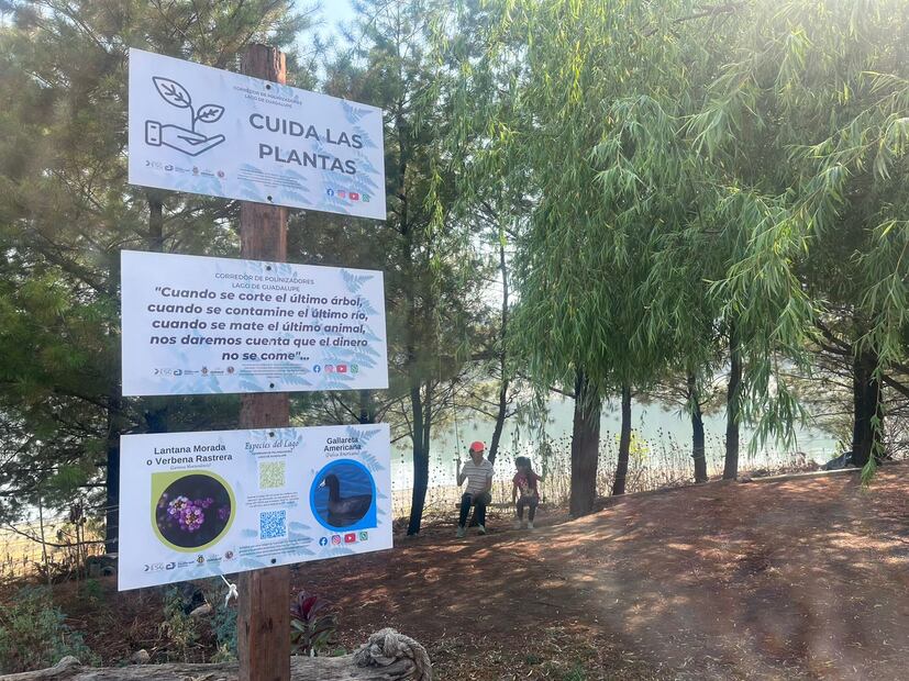 “Le demostramos al gobierno y a todo mundo que es posible limpiar nuestros cuerpos de agua nada más con voluntad”, aseguraron. (Foto: Arturo Contreras)