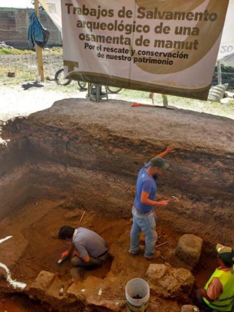 Hallan restos de mamut en Tultepec