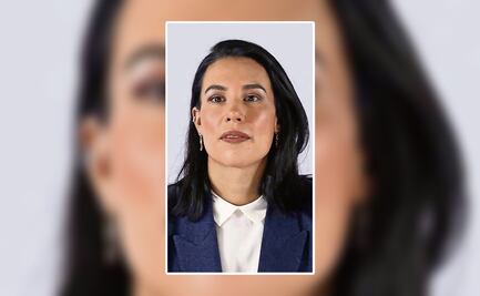 ¿Bermúdez pesará sobre la imagen de México?