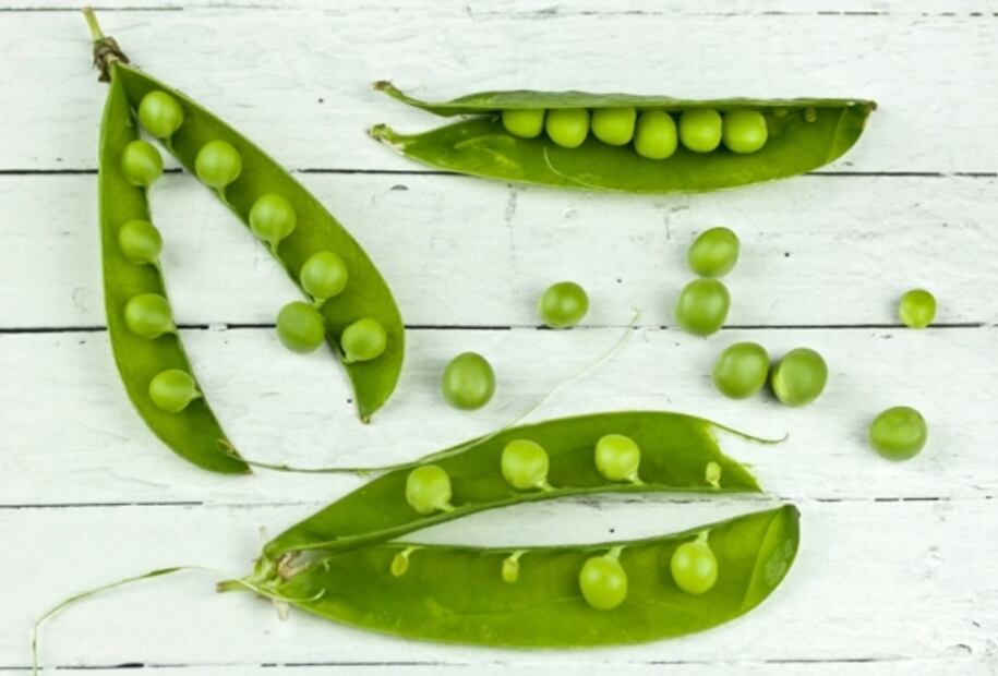Diferencias entre carne animal vs. "carne" vegetal