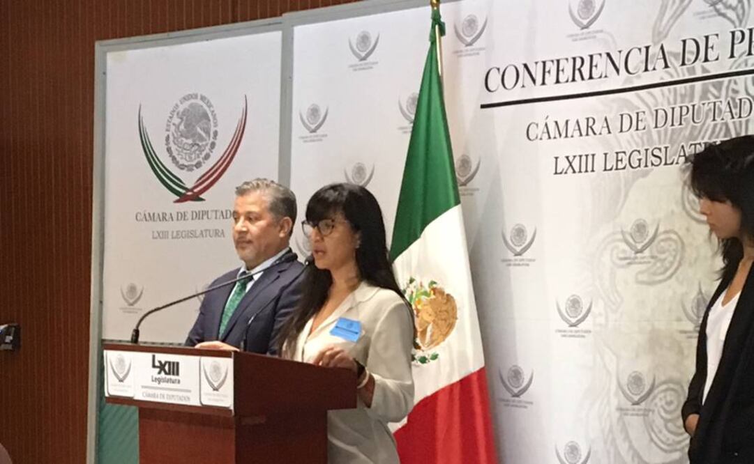 Minerva Rivera coordinadora de Cineastas Unidas, en la Cámara de Diputados  FOTO: CÉSAR HUERTA