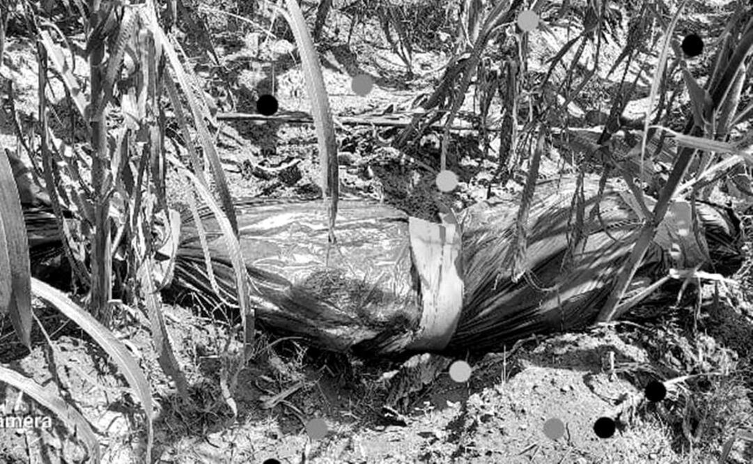 foto: Archivo/El Universal/ El cuerpo fue hallado en la carretera federal número 54, a la altura de la de la comunidad Pozo de Gamboa