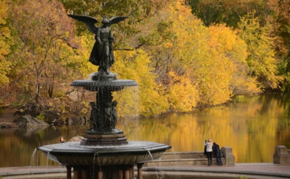 Nueva York: vive 9 de sus mejores atractivos sin salir de casa