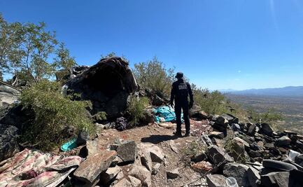 Destruyen campamentos de "halcones" de células delictivas; vigilaban a autoridades en franja fronteriza de Sonora y Arizona