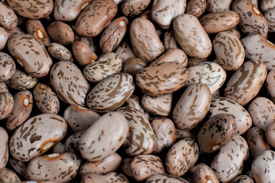Estos son los beneficios del frijol. Foto: Pixabay
