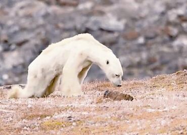 California y Alaska, entre fuego y deshielos
