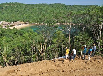 Peligra arrecife de coral en bahía de Huatulco