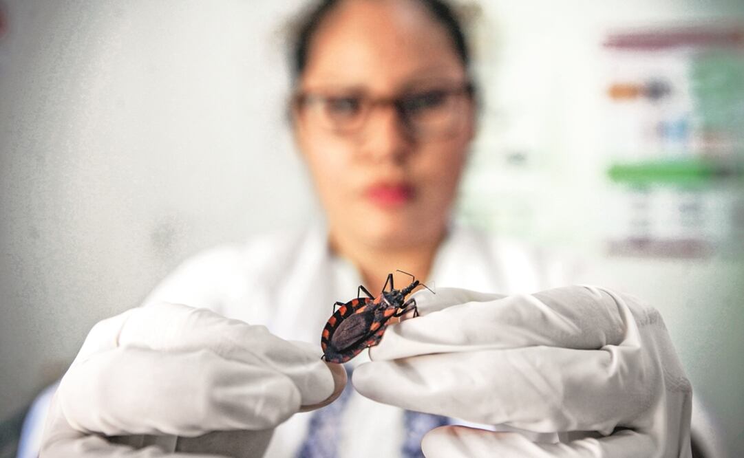 Foto: Archivo El Universal