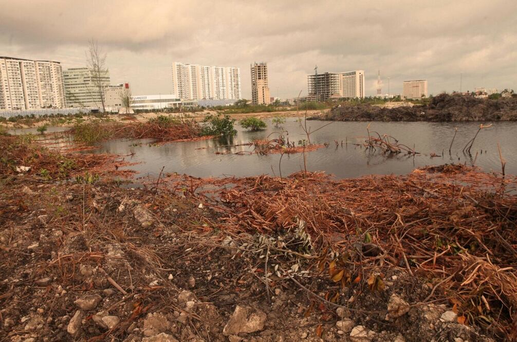 Foto: Adrián Hernández/EL UNIVERSAL