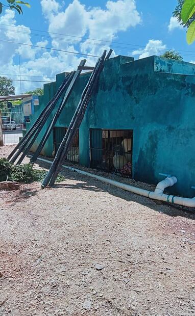 Es muy probable que la pintura en las paredes de esta vivienda, obra del maestro May Ku, conserve su tonalidad por tanto tiempo como los vestigios de Bonampak y Chichen Itzá. Foto: Facebook Luis May Ku.