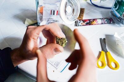 Arranca el miércoles venta de marihuana en Uruguay