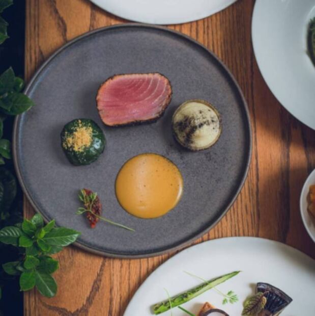 Tour atunero por restaurantes de la CDMX