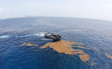 Lluvias y vientos limpian sargazo de las playas de Quintana Roo