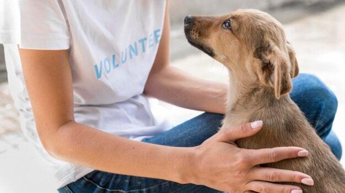 Adoptar un perro es el comienzo de una relación única y especial. Fuente: Freepik.