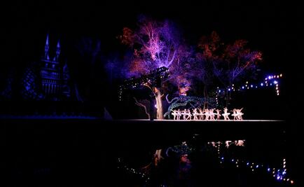 Les cancelan "El lago de los cisnes" por tercera vez