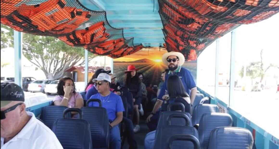 Foto: Anfibús