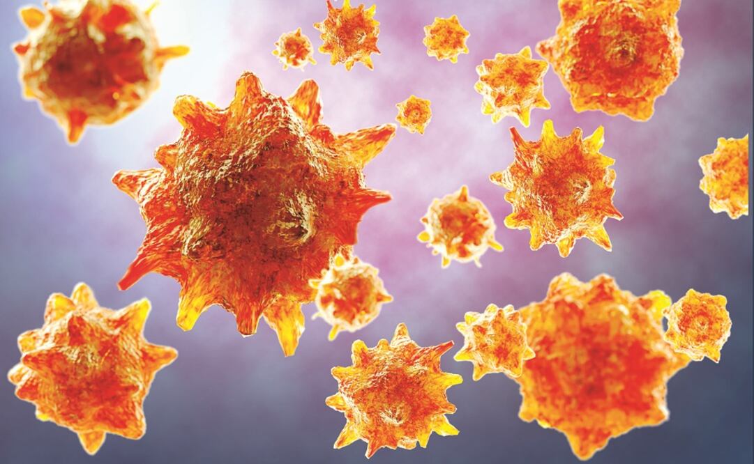 Imagen ilustrativa. Foto: Especial