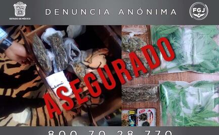 Aseguran envoltorios y plantas de marihuana en inmueble de Valle de Bravo
