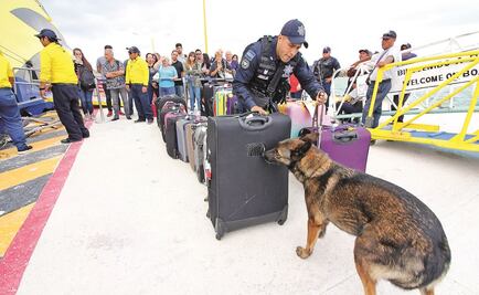 Instalan arcos detectores en puertos de ferry en Playas del Carmen 