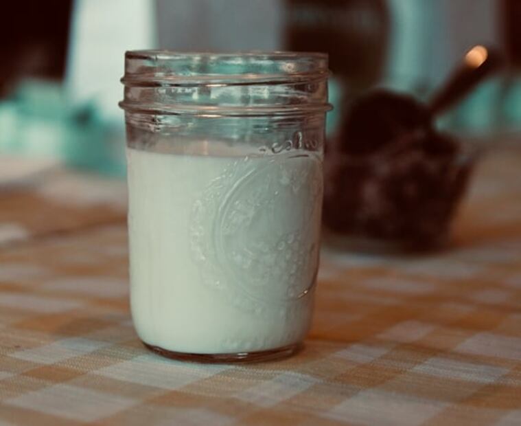 Aprende a cultivar búlgaros en casa